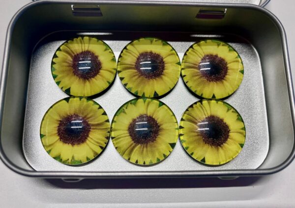 Sunflower Pho Art Magnet Set of 6, 1OAKG