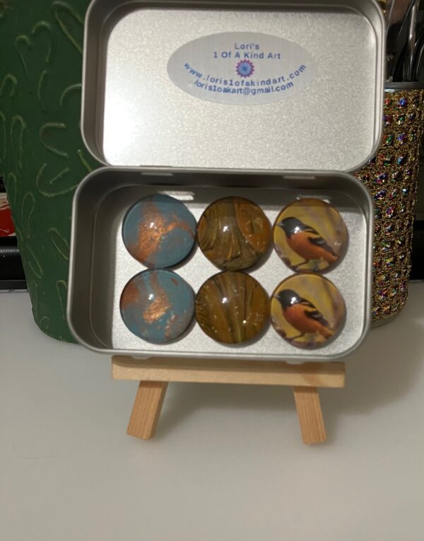 Turquoise, Copper, Orange, Black & an Oriole Fluid & Pho Art Magnet Set of 6, 1OAKG